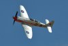 RN5_7118t.jpg