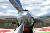 RP6_2539t.jpg