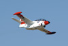 RN7_6883wt.jpg