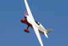 RN7_7139wt.jpg
