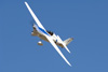 RN7_9222wt.jpg