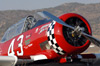 RN7_6143wt.jpg