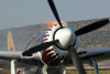 RN7_6162wt.jpg