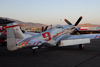 RN7_6507wt.jpg