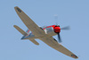 RN7_6701wt.jpg