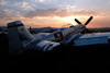 RN7_7034dt.jpg