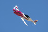 RN7_7489wt.jpg
