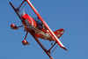 RN7_8236wt.jpg