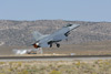 RN7_8314wt.jpg