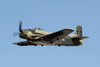 RN7_8328wt.jpg