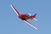 RN7_9316wt.jpg