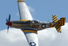 RN7_9576dt.jpg