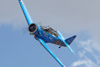 RN7_9678wt.jpg