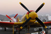 RN7_6471wt.jpg
