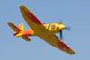 RN7_6785wt.jpg