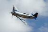 RN7_9778wt.jpg