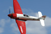 RN7_9827wt.jpg