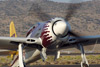 RN7_6324wt.jpg