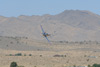 RN7_7640dt.jpg