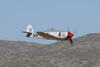RN7_8037wt.jpg