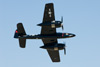 8RN_3725t.jpg