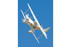 8RN_4001cvt.jpg