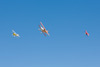 8RN_4031t.jpg