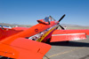 RN8_0136t.jpg