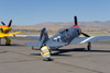 RN8_0165t.jpg