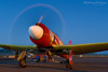 RN8_0552t.jpg