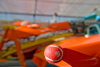 RN8_1716t.jpg