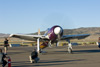 8RN_4254t.jpg