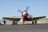 8RN_4623t.jpg
