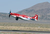 RN8_0641t.jpg