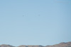 RN8_2444t.jpg