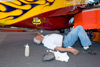 RN8_2653t.jpg
