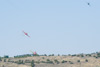 RN8_2973t.jpg