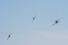 RN8_3039t.jpg