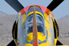 8RN_3363t.jpg