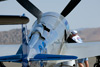 8RN_3769t.jpg