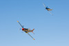 8RN_4122t.jpg
