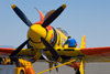 RN8_0240t.jpg