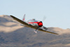 RN8_0345t.jpg