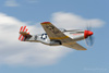 RN8_0385t.jpg