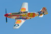 RN8_1375t.jpg