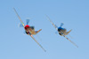 RN8_1898t.jpg