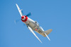 RN8_2036t.jpg