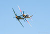 RN8_2337t.jpg