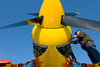 RN8_2616t.jpg