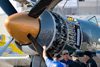 RN8_2693t.jpg